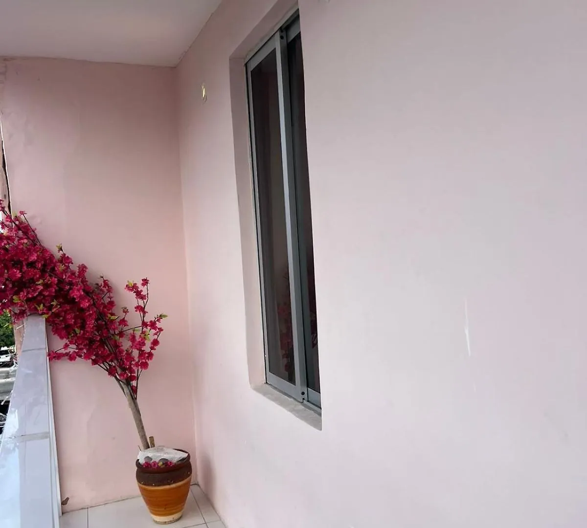 La Rosa Pousada Hostel Fortaleza  Brazil